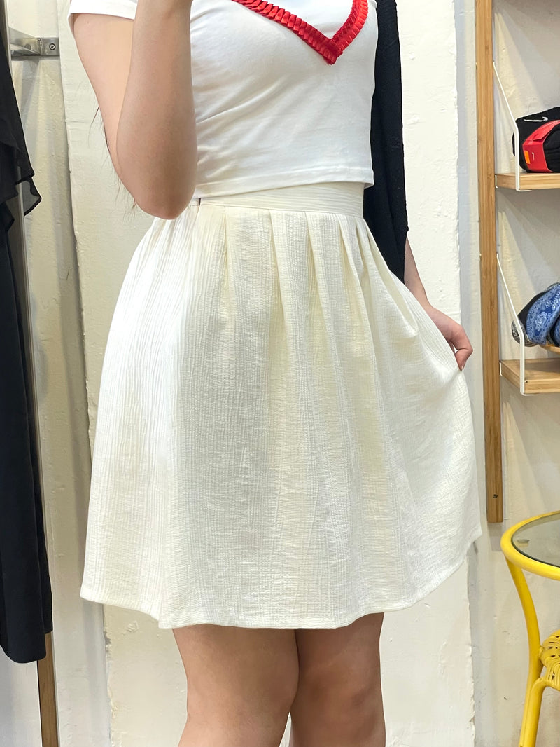 Textured Pleated A-Line Skirt