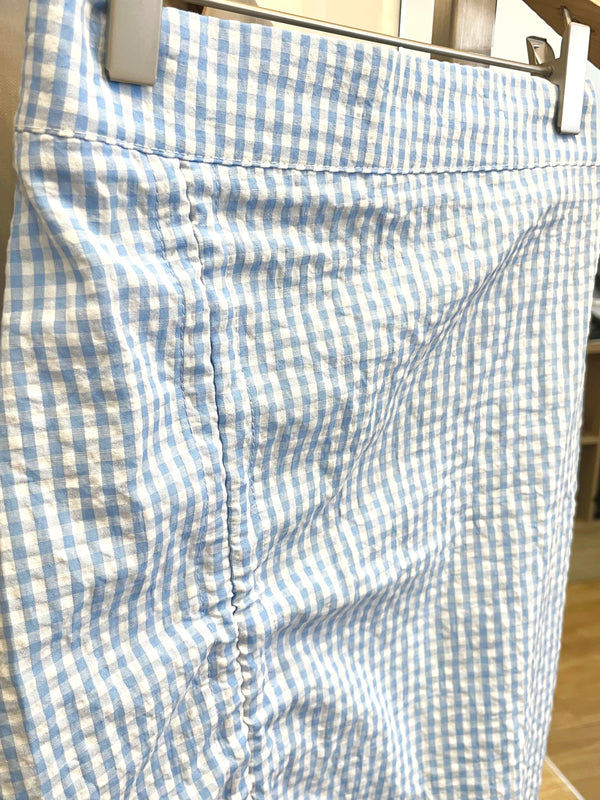 Sunny Day Blue Check Long Skirt