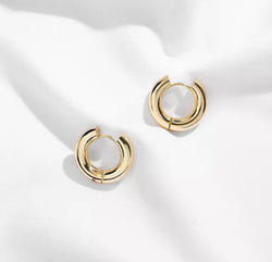 Platinum gold earrings