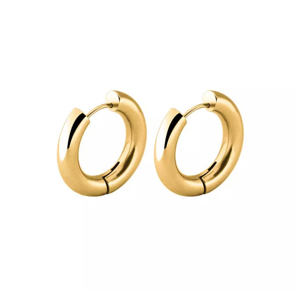 Platinum gold earrings
