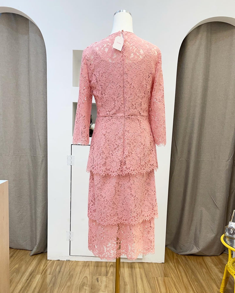 Elegant Pink Lace Cake Dress
